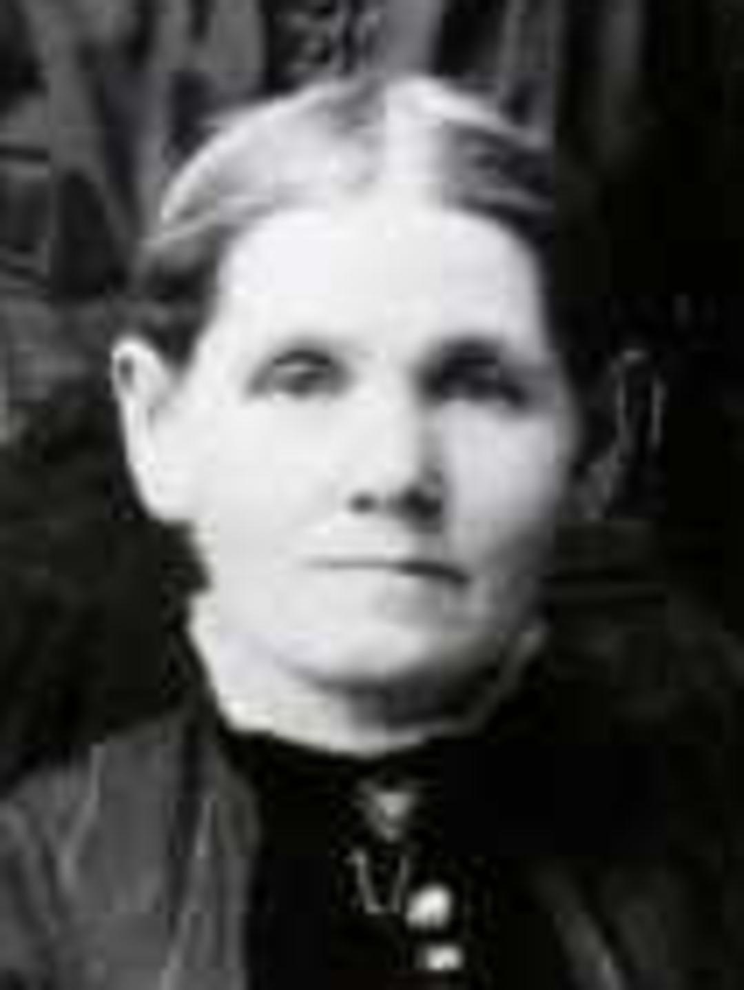 Abigail Abbott (1842 - 1934) Profile